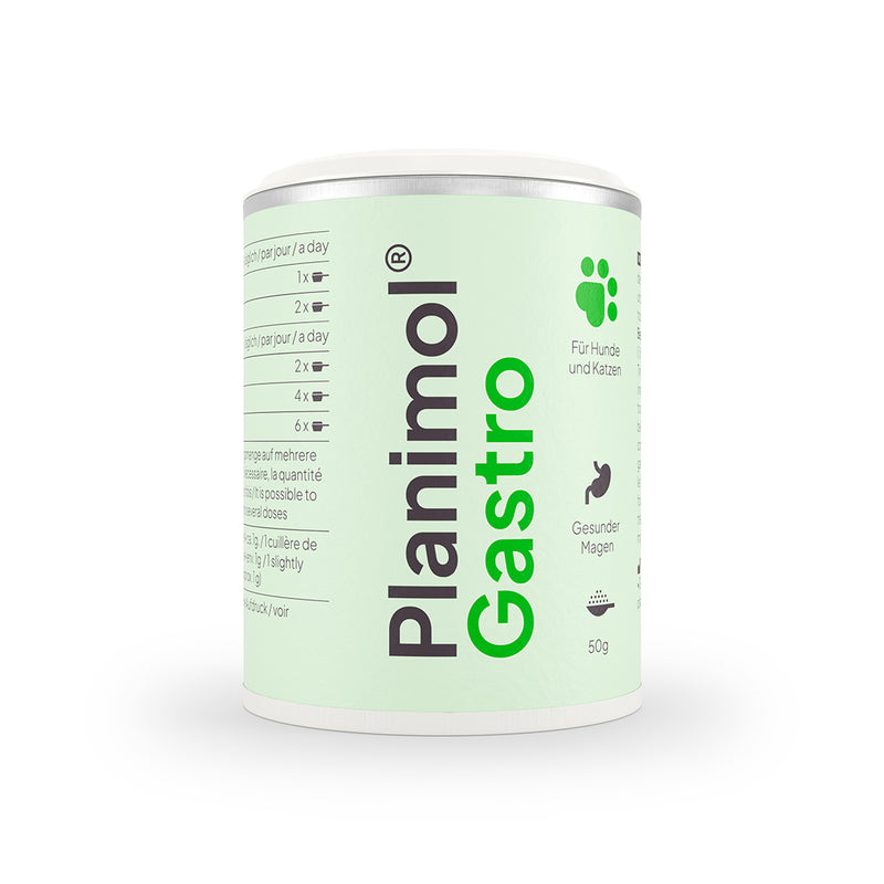 Gastro Pulver